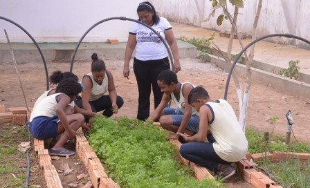 Projeto Horta nas Escolas