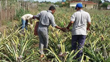 Secretaria de Agricultura de Castro Alves fortaleceu importantes projetos em 2018