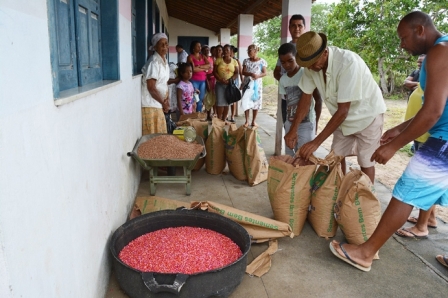 Sementes serão distribuídas aos pequenos agricultores