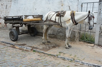 Convênio propõe troca de tração animal por motos adaptadas