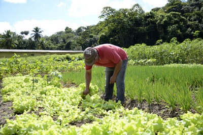 Prefeitura de Alagoinhas realizará Censo Rural