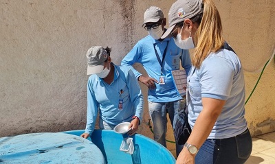 Índice de infestação do Aedes aegypti diminui em Vitória da Conquista