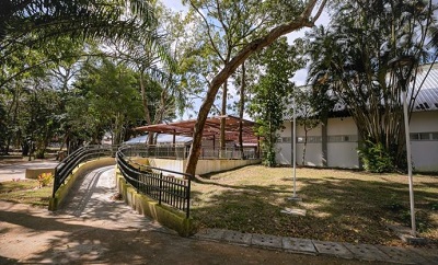 Prefeitura institui programa Camaçari Arborizada