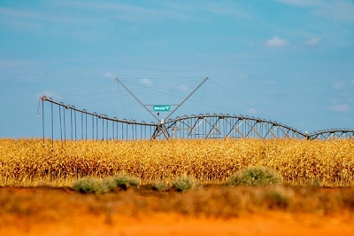 Barreiras está entre os 100 municípios mais ricos do Brasil no agronegócio