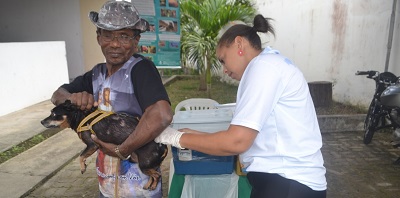 Feira de Santana Mais dois casos de raiva em morcegos confirmados