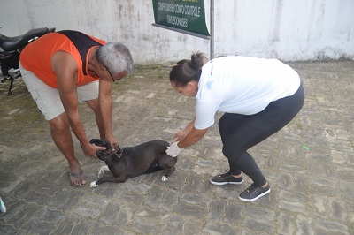 Feira de Santana confirma mais dois casos de raiva e intensifica vacinação em animais