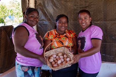 Mulheres quilombolas empreendem e têm bons resultados com a avicultura