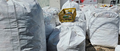 Projeto retira das ruas quase 6 toneladas de alumínio e plásticos durante a Micareta de Feira de Santana