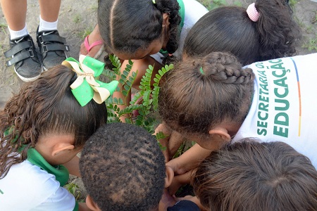 Feira de Santana celebra Dia da Árvore com ações de arborização e educação ambiental