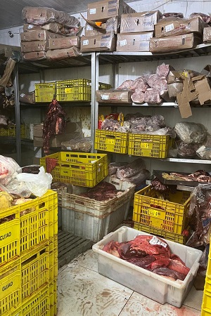Vigilância Sanitária intensifica fiscalização de estabelecimentos alimentícios e criatórios irregulares de animais