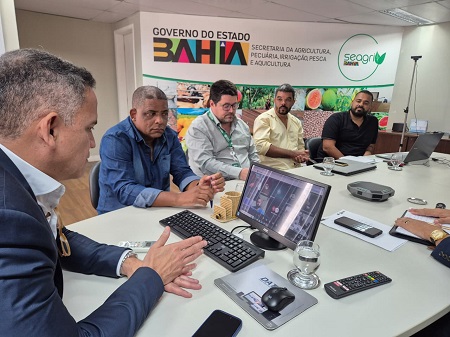 Bahia lidera produção nacional de sisal e alinha novas estratégias para o setor