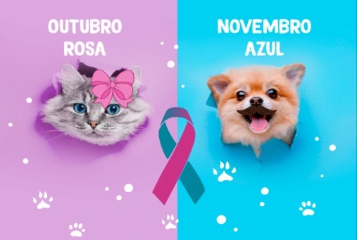 Outubro-Rosa-Pet-e-Novembro-Azul-Pet