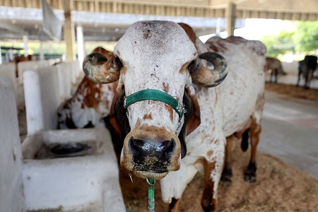 Fenagro 2025 promete edição histórica com o tema Campo e Cidade juntos pelo futuro do agro